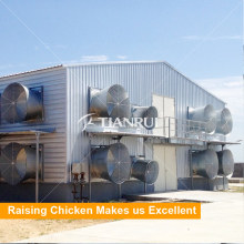 Automatic Poultry Farm Fan For Broiler Chicken Cage